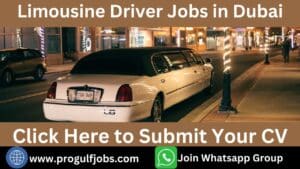Dubai Limousine