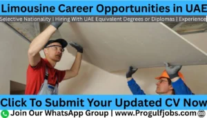 carpenter careers