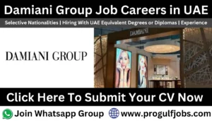 Damiani Group Career