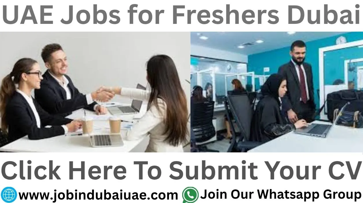 UAE Jobs for Freshers