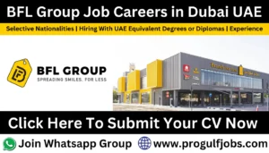 bfl group careers