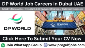 dp world career