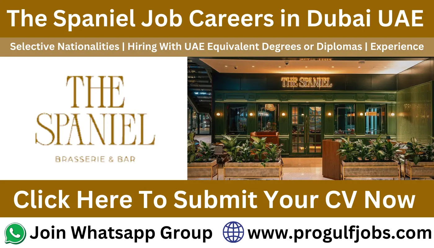 The Spaniel Careers UAE