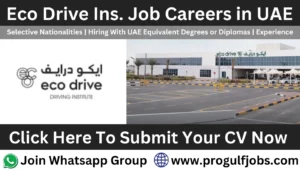 Eco Drive Driving Institute careers