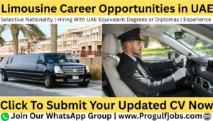 limousine careers in uae